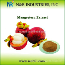 100% natural Mango powder for drink